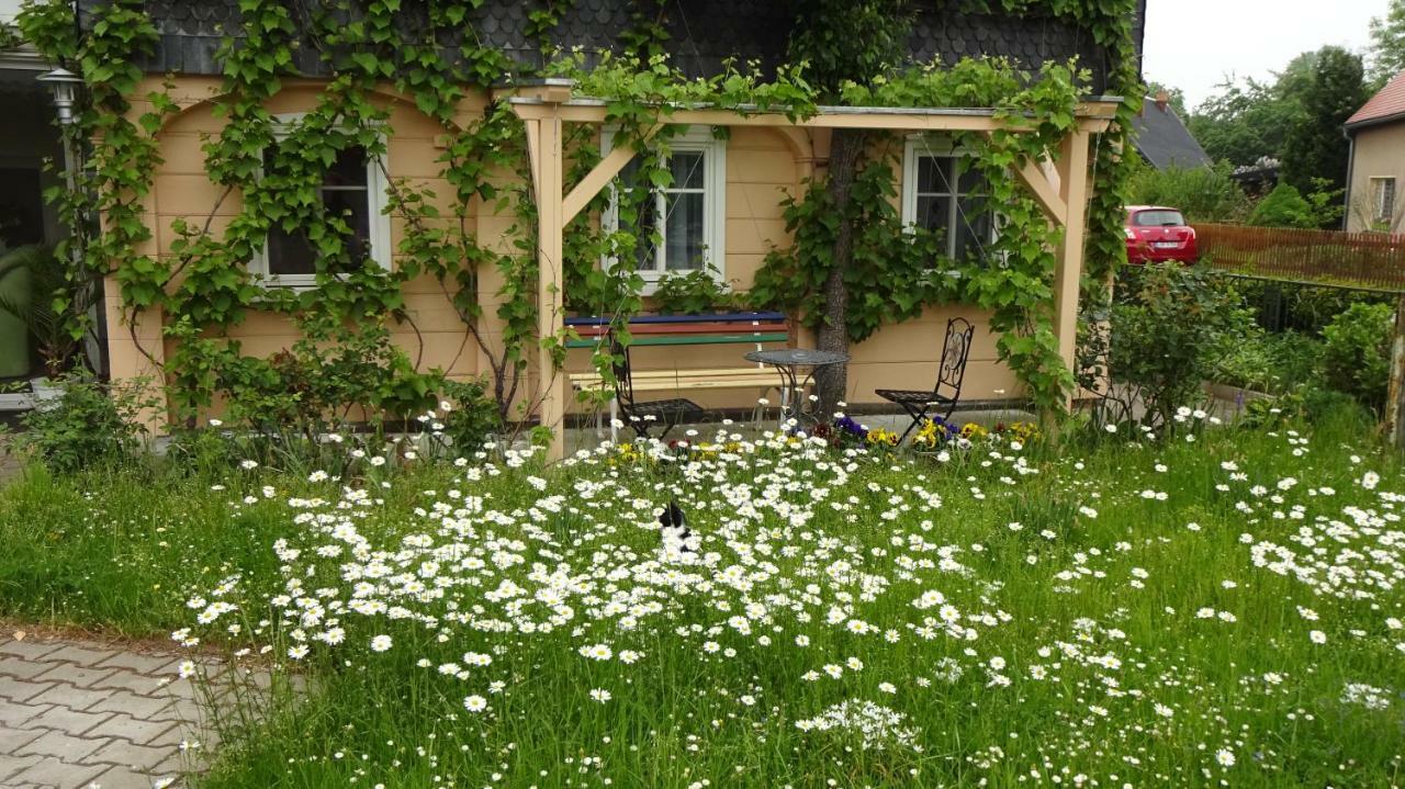 Privatzimmer Lehmann Kottmar 外观 照片